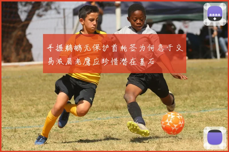 手握鹈鹕无保护首轮签为何急于交易浓眉老鹰应珍惜潜在基石
